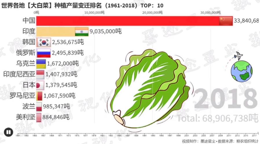 白菜成语「中国白菜在韩国卖多少钱」 论文格式