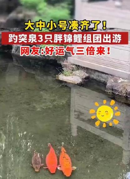 中国温泉最多的城市是济南吗「趵突泉锦鲤撑死几条了」 论文致谢